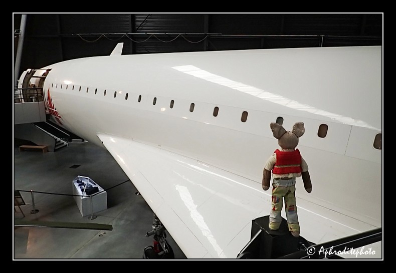 Lapinou visits AEROSCOPIA museum 2015